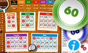 60 ball bingo with five winning chances